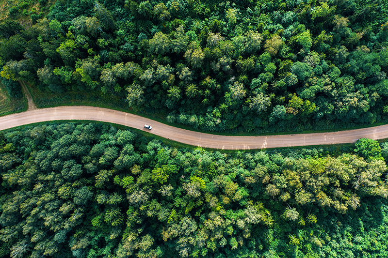 Eine Straße im Wald